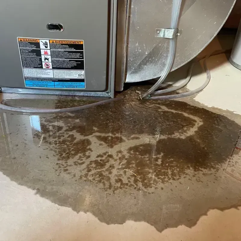 Appliance Leak Cleanup in Lebec, CA